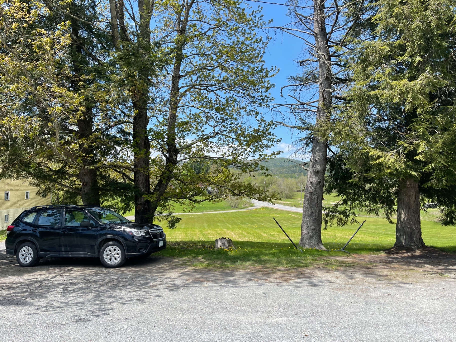 View of the Vermont hills from the path, framed by maples and spruces