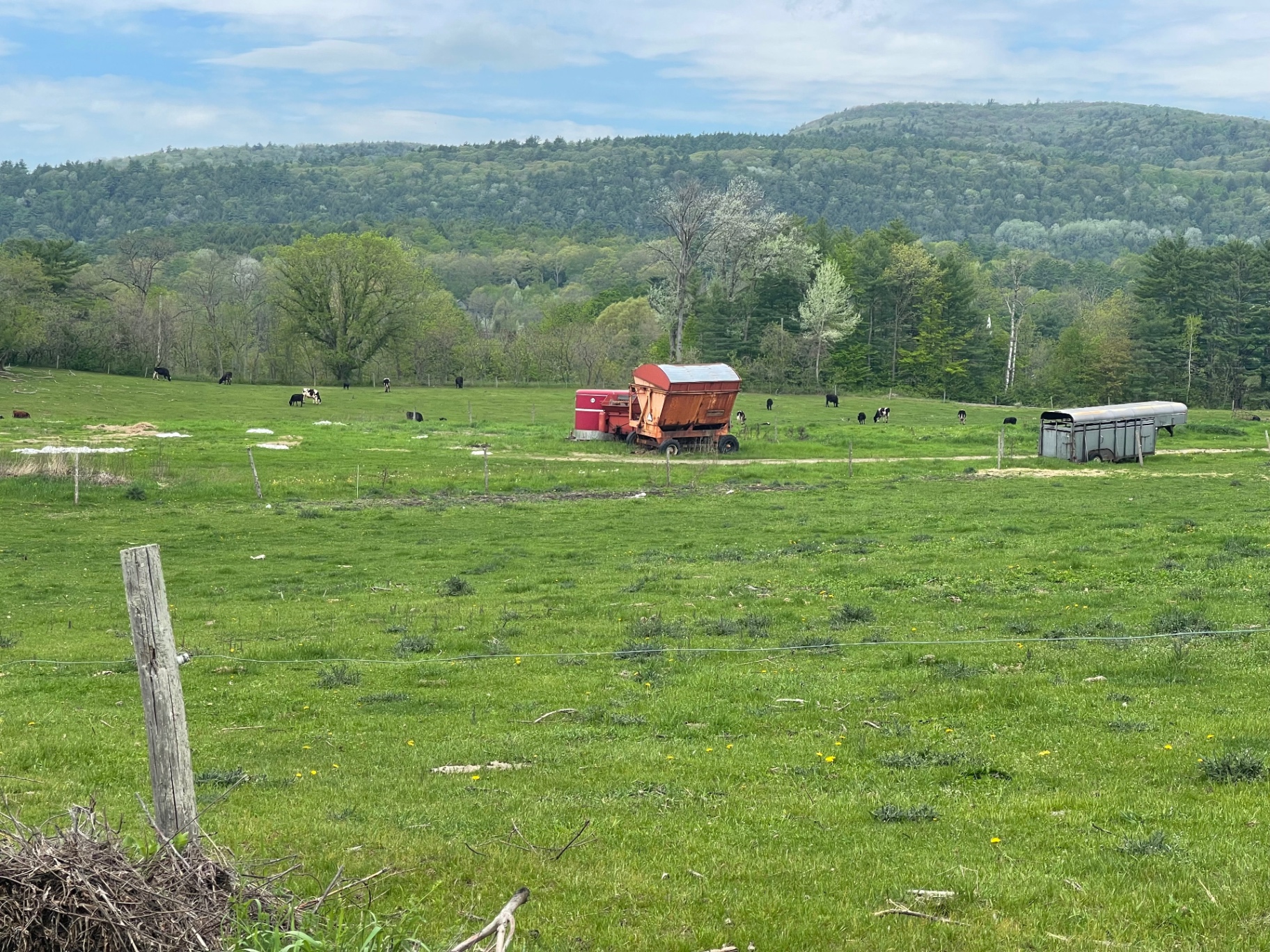 The neighbor's field with cows, a red wagon, and the mountain behind