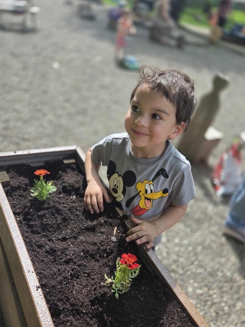 Toddler planting marigolds in a wooden planter box
